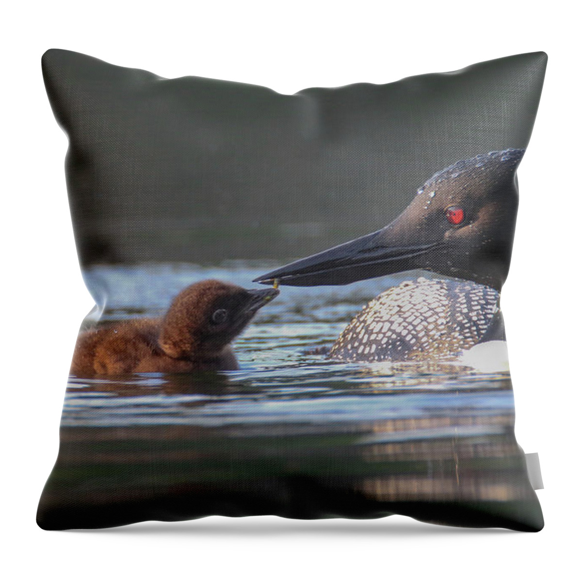 Loon Throw Pillow featuring the photograph Tender Moment by Brook Burling