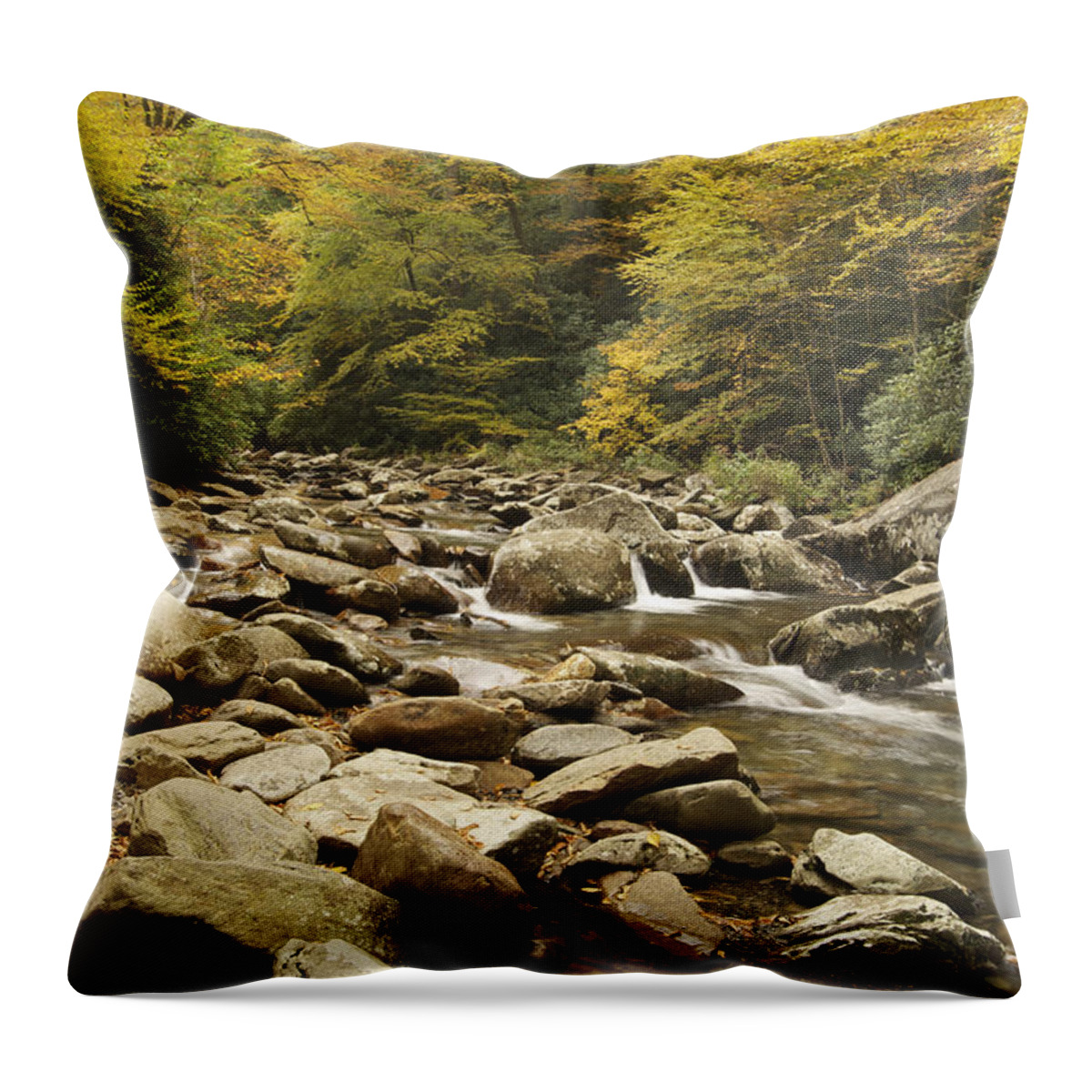 Autumn Throw Pillow featuring the photograph Tennessee Autumn Stream 6059 by Michael Peychich
