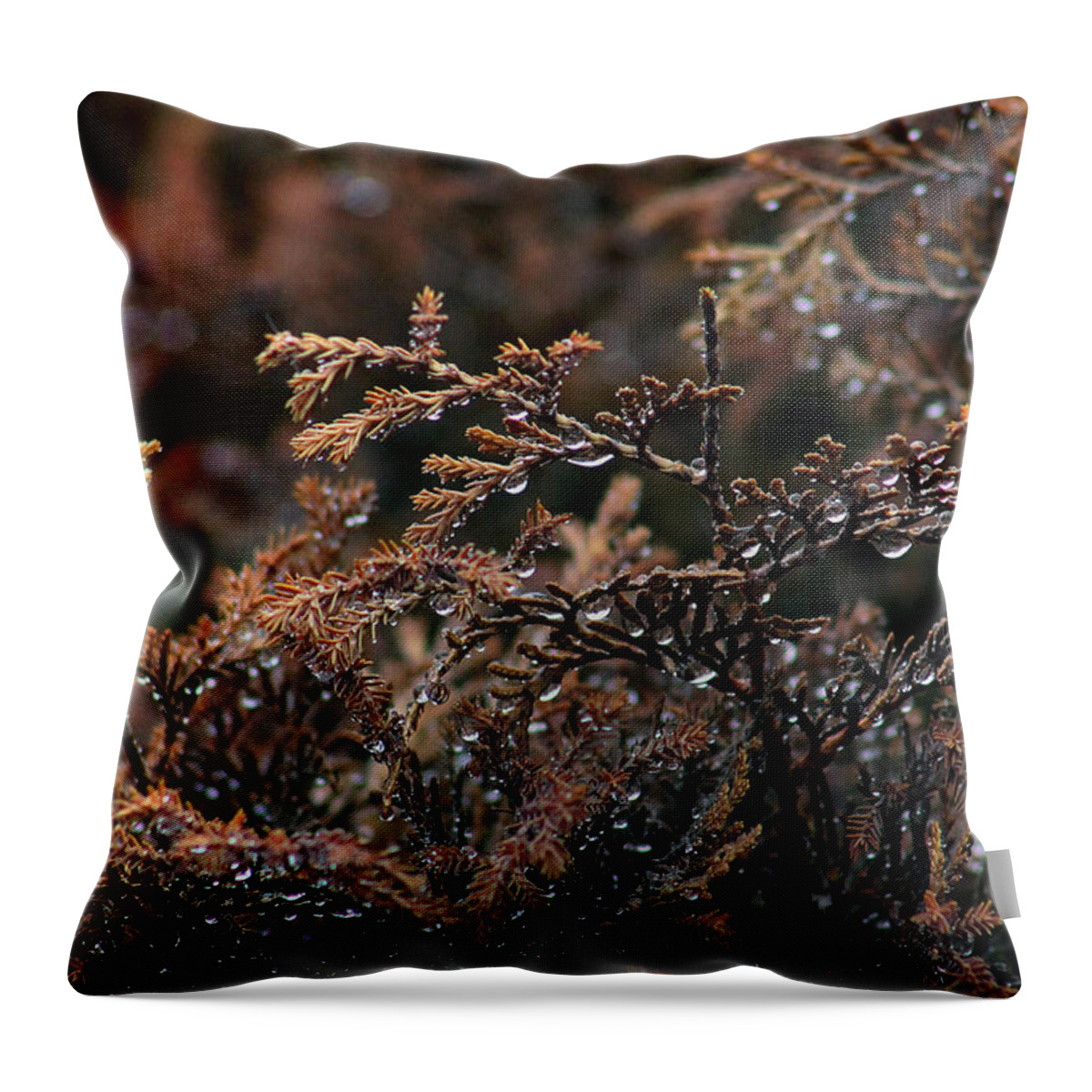 Plants Throw Pillow featuring the photograph Tennessee Dew by Gayle Berry