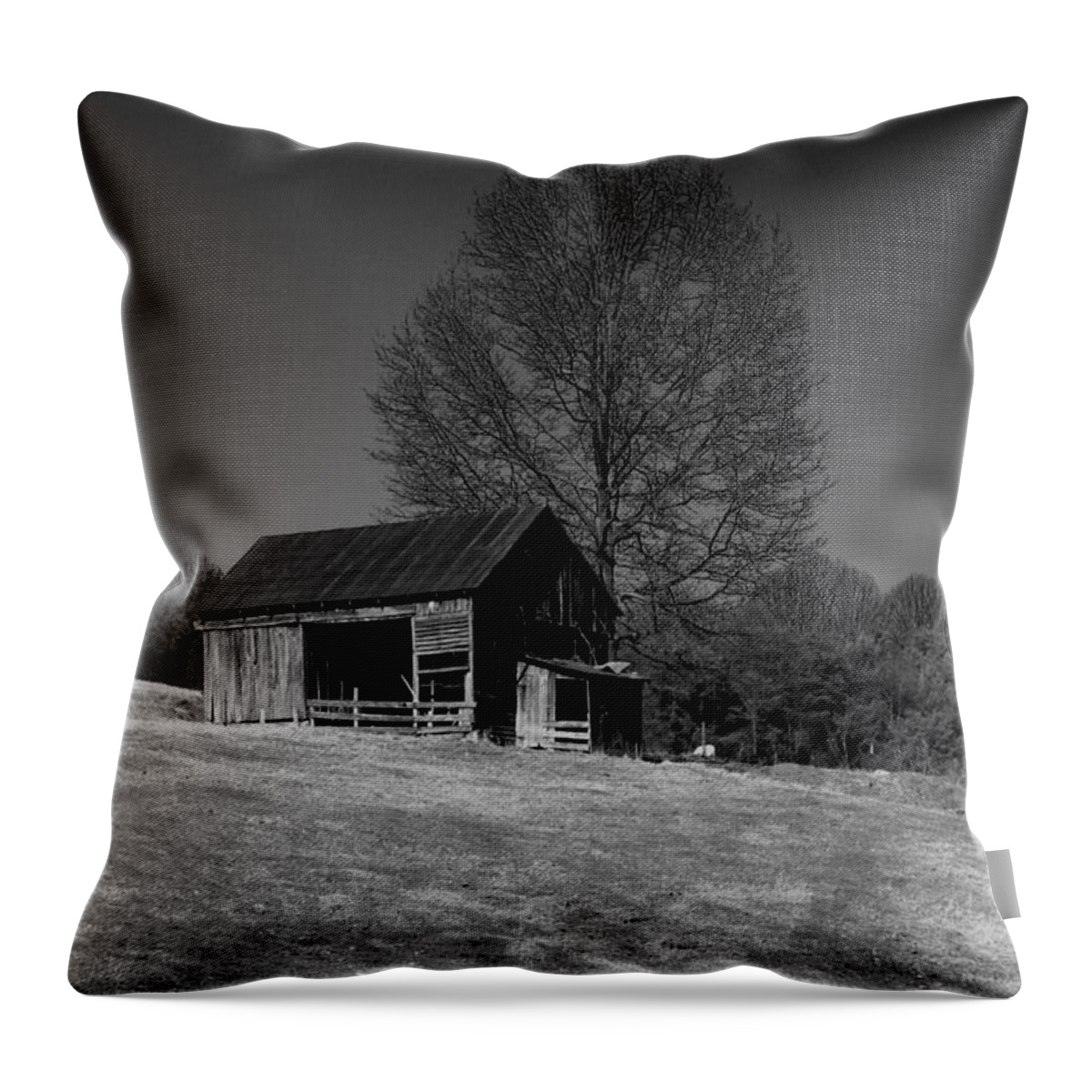 Tennessee Throw Pillow featuring the photograph Tennessee Farm by Karen Harrison Brown