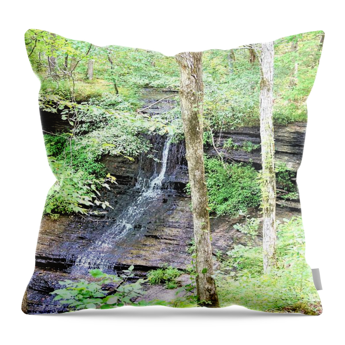 Tennessee Throw Pillow featuring the photograph Tennessee by Merle Grenz