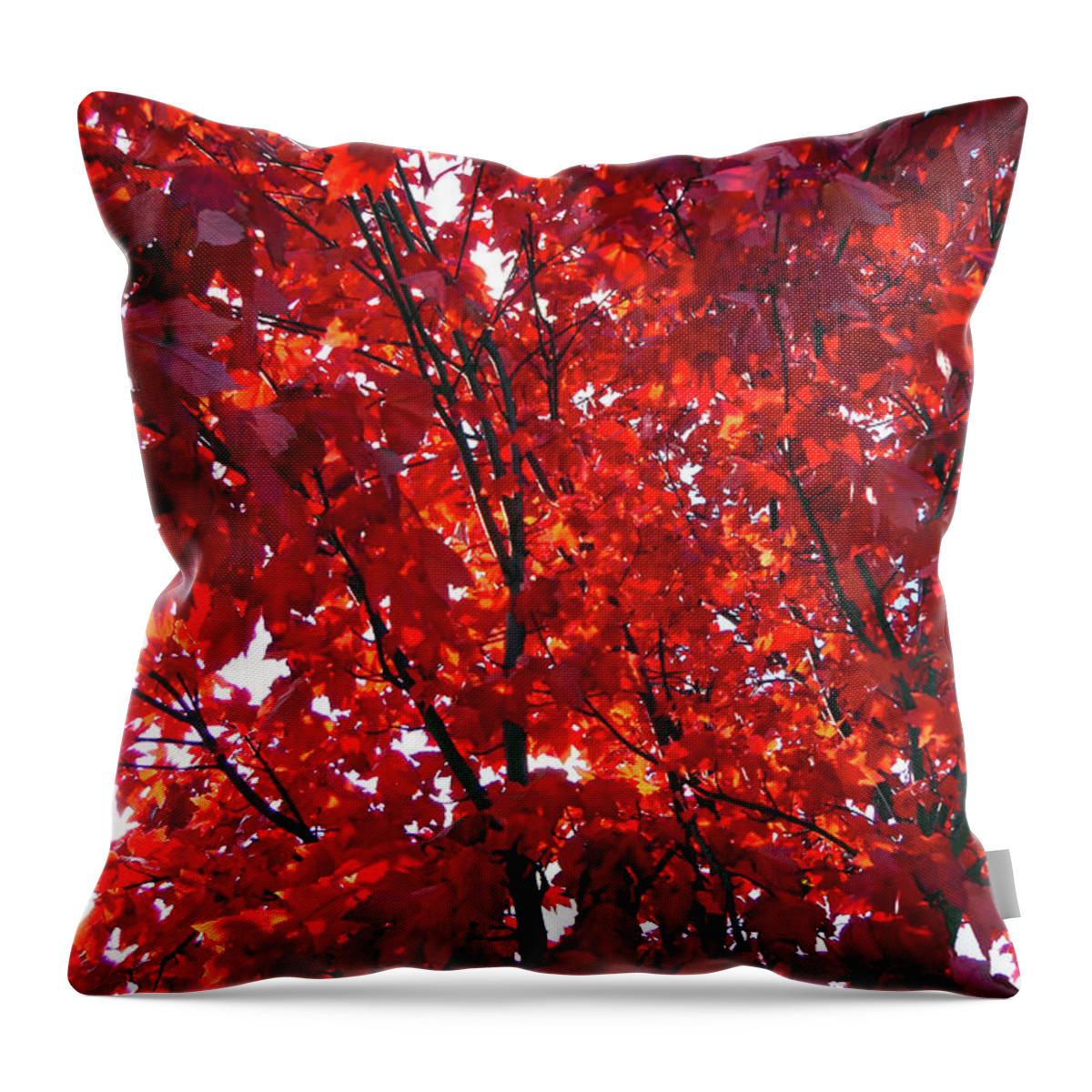 Red Tree Throw Pillow featuring the photograph Tennessee Trees 3 by Jeanne Forsythe
