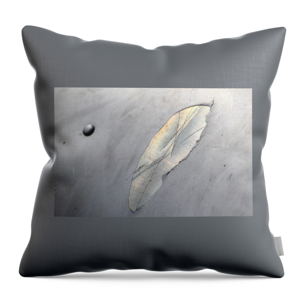Metal Throw Pillow featuring the photograph Terminus Wing by Annekathrin Hansen