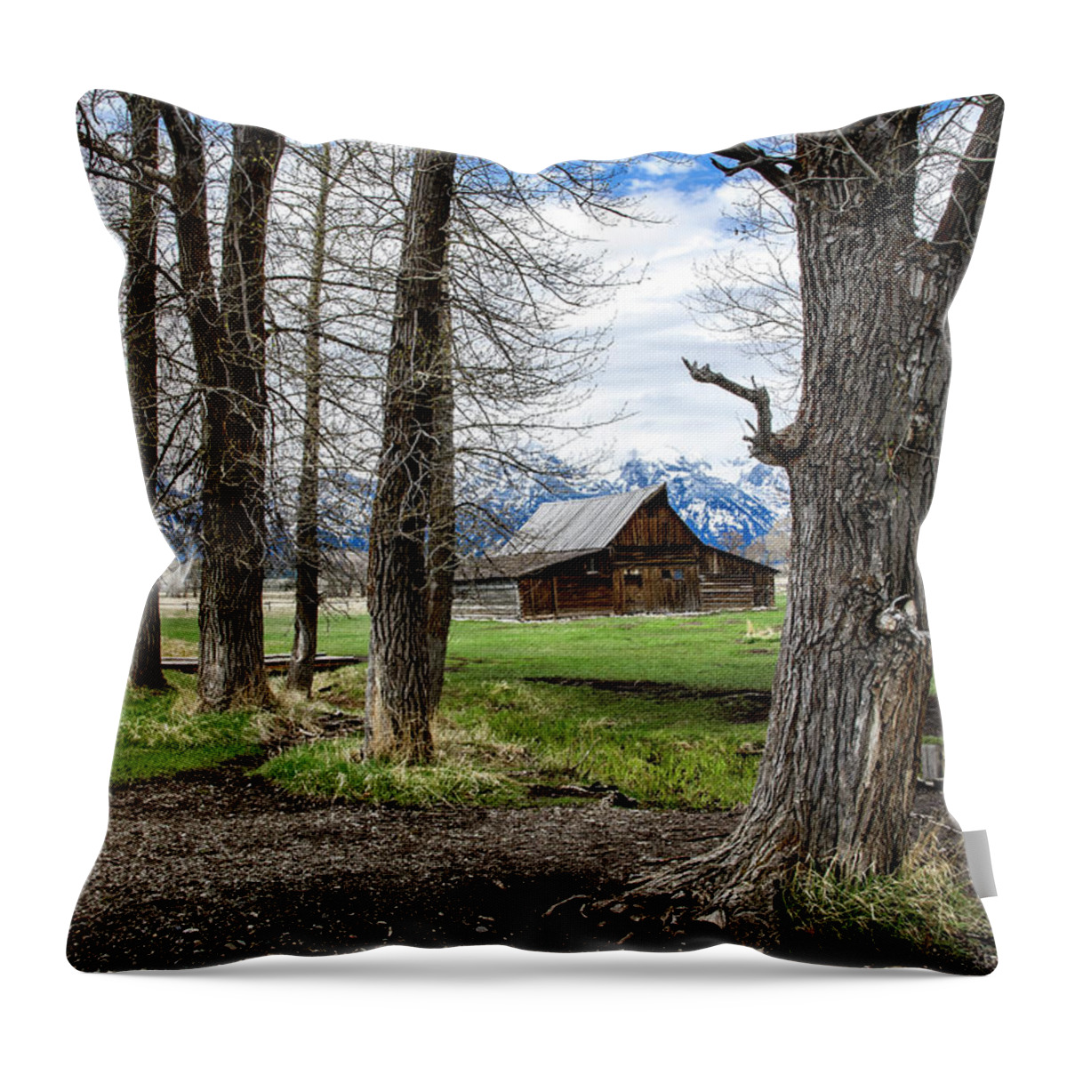 Tetons Throw Pillow featuring the photograph Moulton Barn on Mormon Row by Scott Read