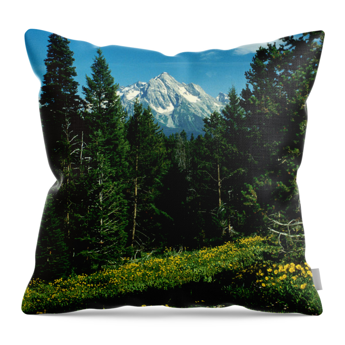Wyoming Throw Pillow featuring the photograph Teton Meadow by Jerry McElroy