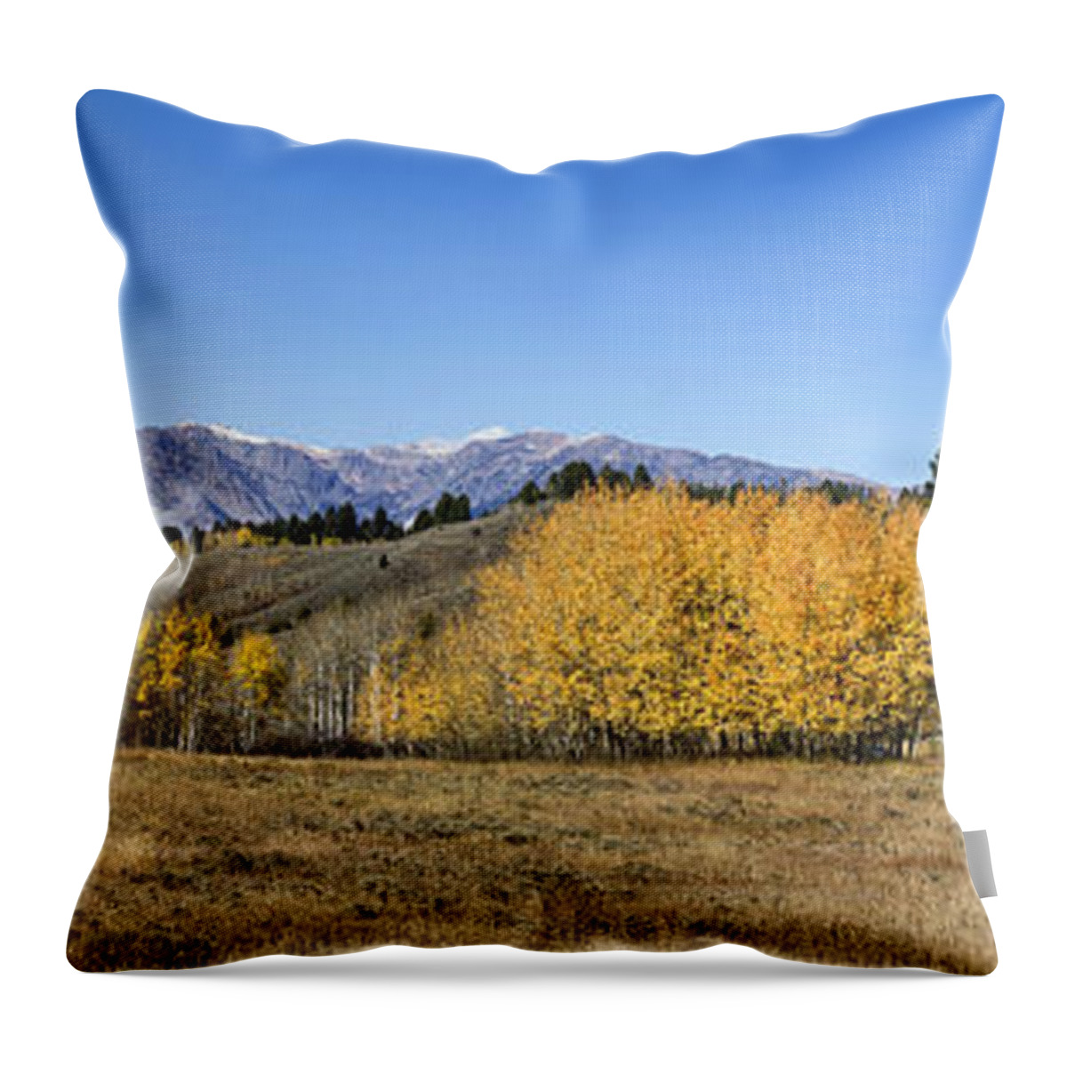 Tetons Throw Pillow featuring the photograph Teton Panorama by Shirley Mitchell