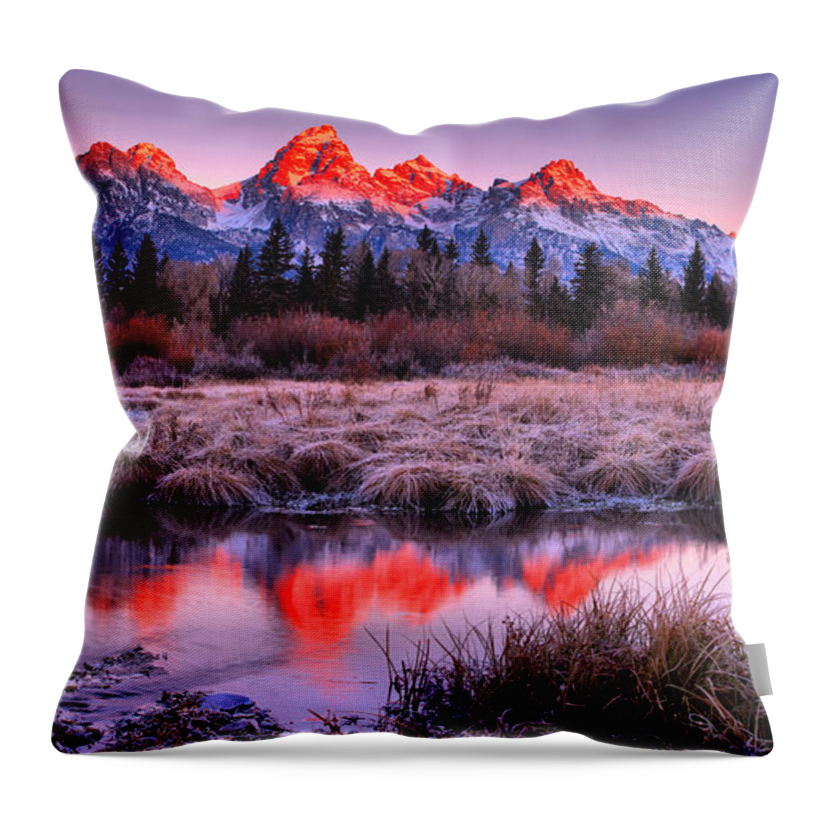 Grand Teton National Park Throw Pillow featuring the photograph Teton Reflections In The Frosted Willows by Adam Jewell