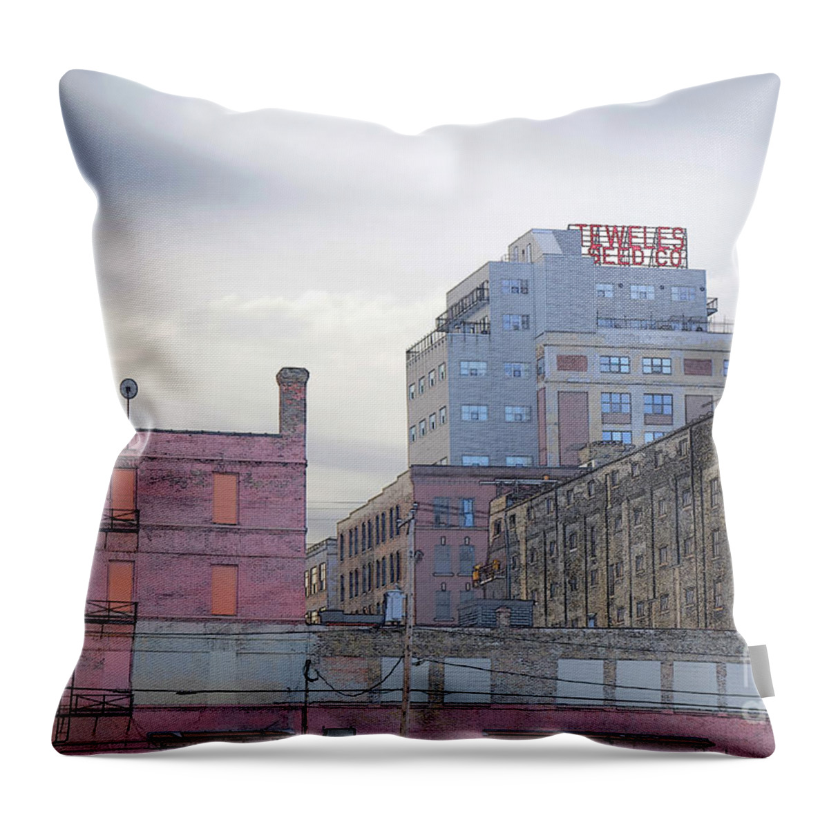 Teweles Throw Pillow featuring the digital art Teweles Seed Co by David Blank
