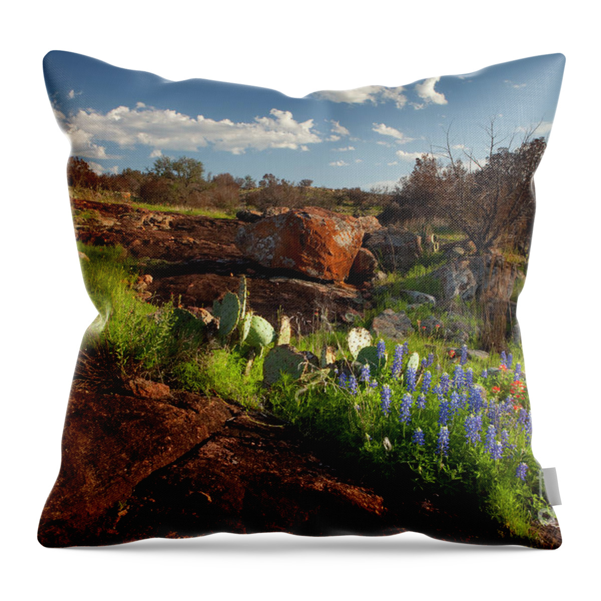 Texas Blue Bonnets Throw Pillow featuring the photograph Texas Blue Bonnets and cactus by Keith Kapple