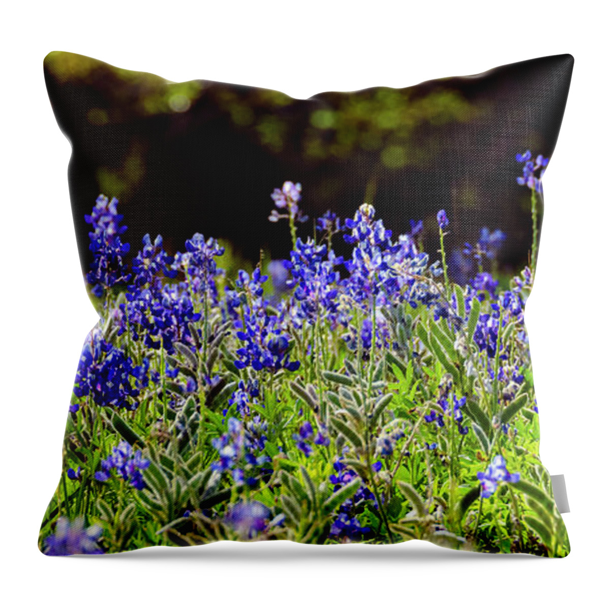 Texas Throw Pillow featuring the photograph Texas Bluebonnets III by Greg Reed