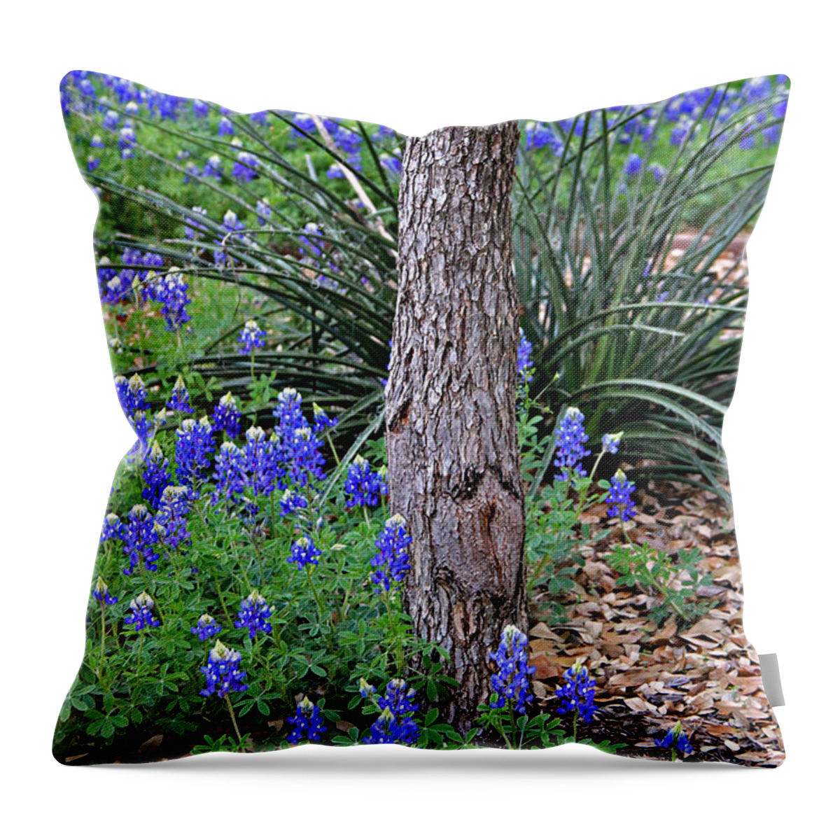 Landscape Throw Pillow featuring the photograph Texas Bluebonnets by Matalyn Gardner