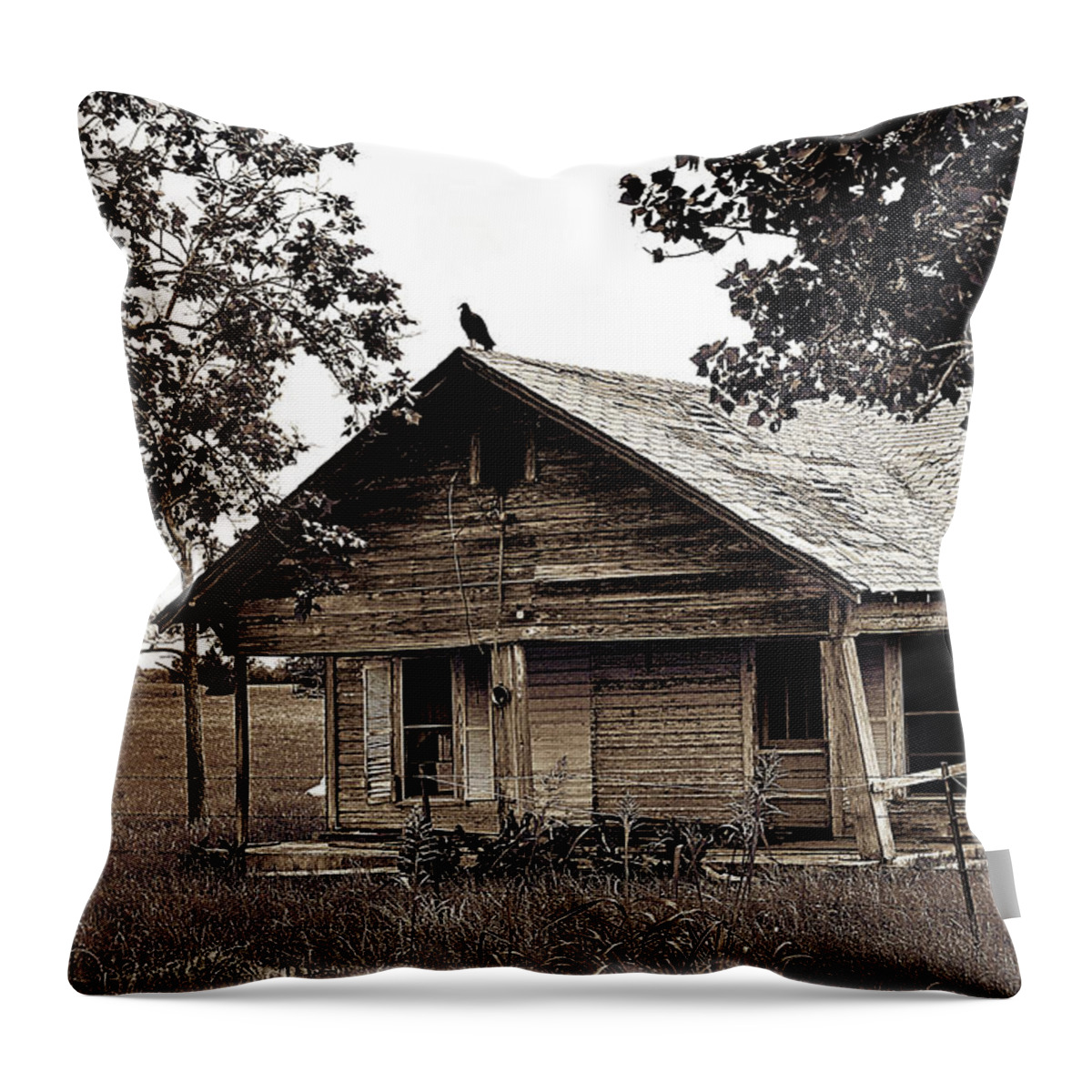 Texas Throw Pillow featuring the photograph Chris Andruskiewicz - Texas Forgotten - Buzzard Farmhouse II Texas Forgotten - Buzzard Farmhouse I by Chris Andruskiewicz