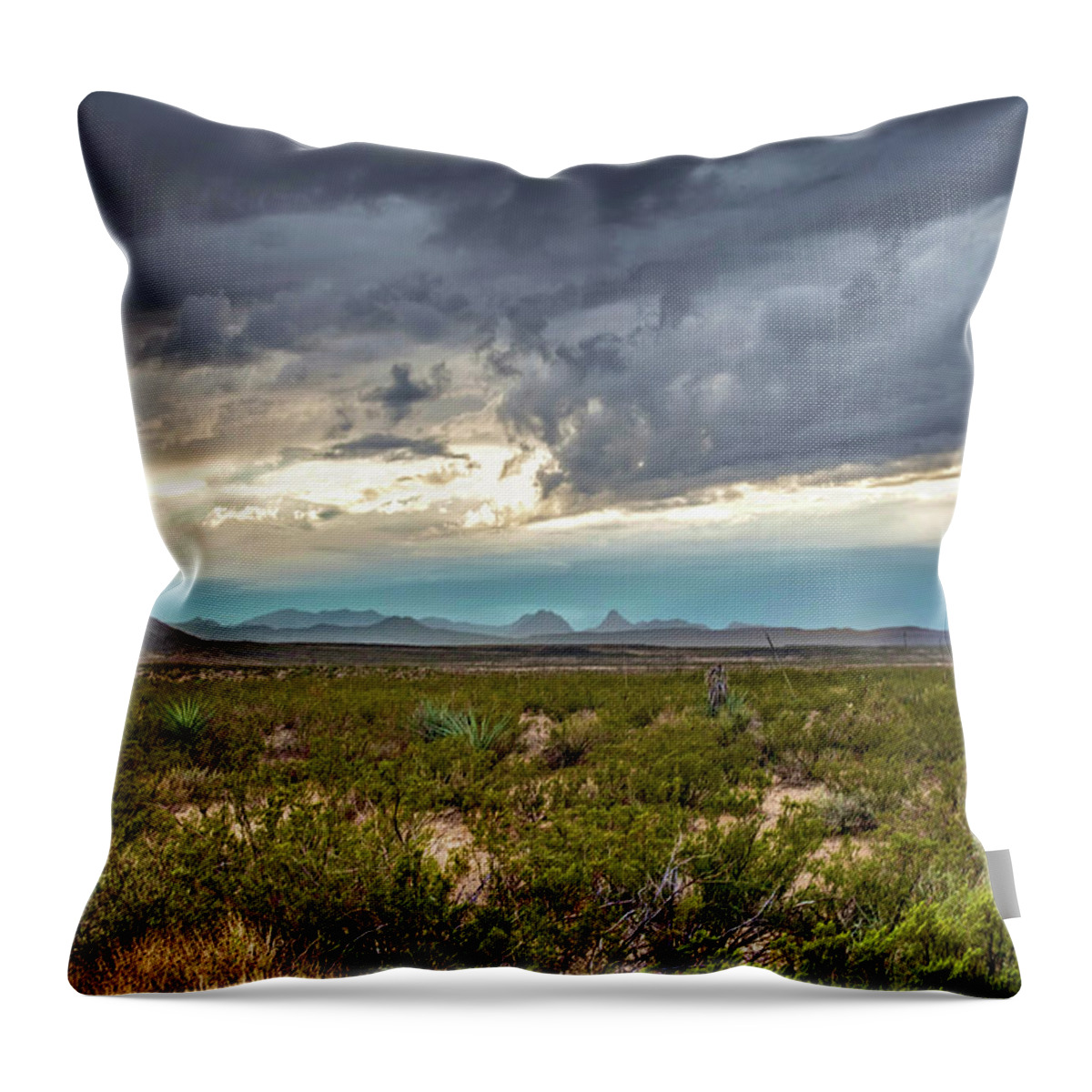 Texas Throw Pillow featuring the photograph Texas Desert by Will Wagner