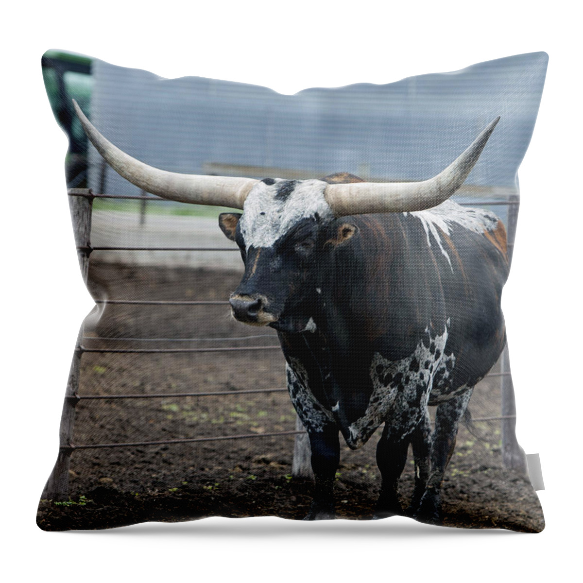 Texas Throw Pillow featuring the photograph Texas Longhorn Corralled #1 by Stephen Schwiesow