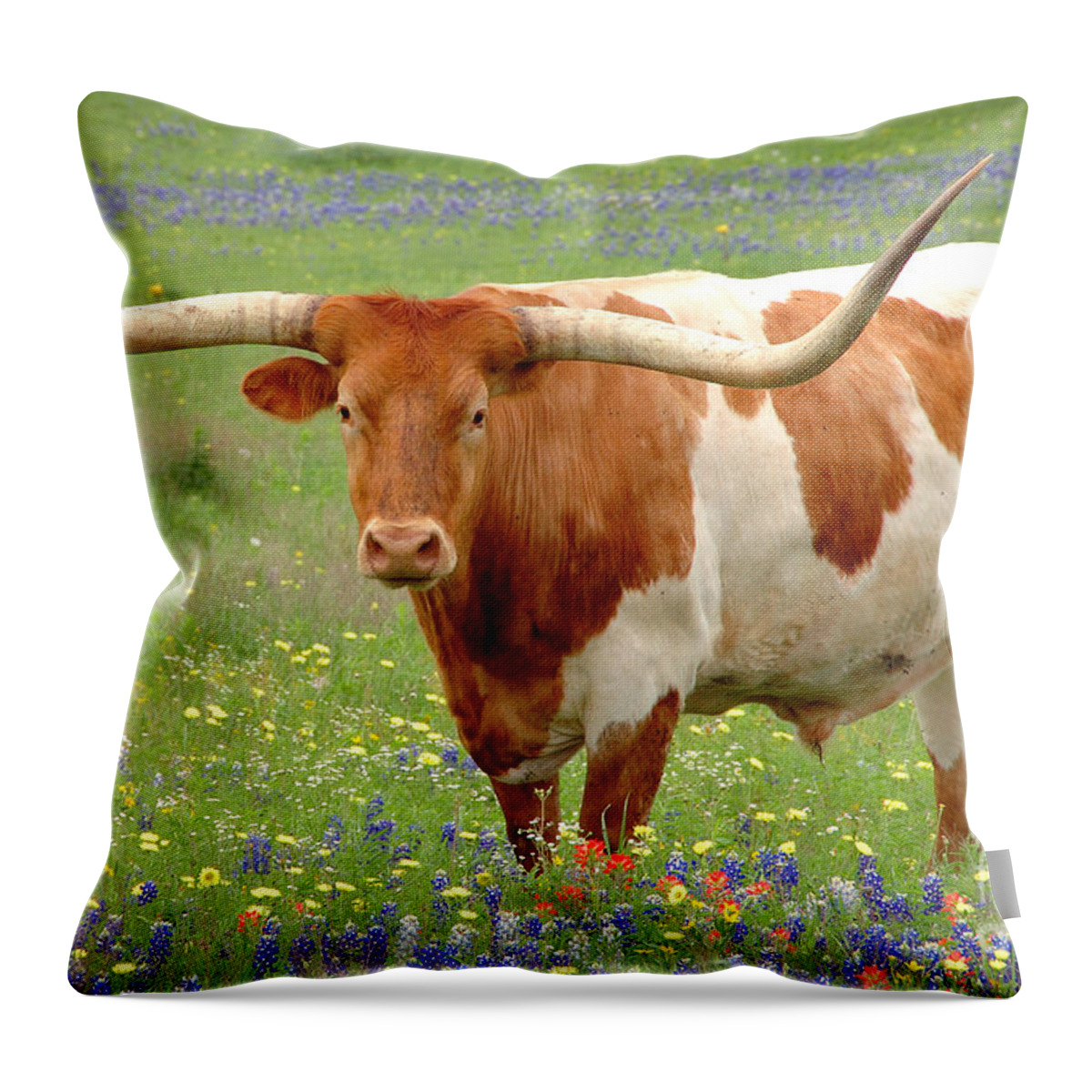Texas Longhorn In Bluebonnets Throw Pillow featuring the photograph Texas Longhorn Standing in Bluebonnets by Jon Holiday