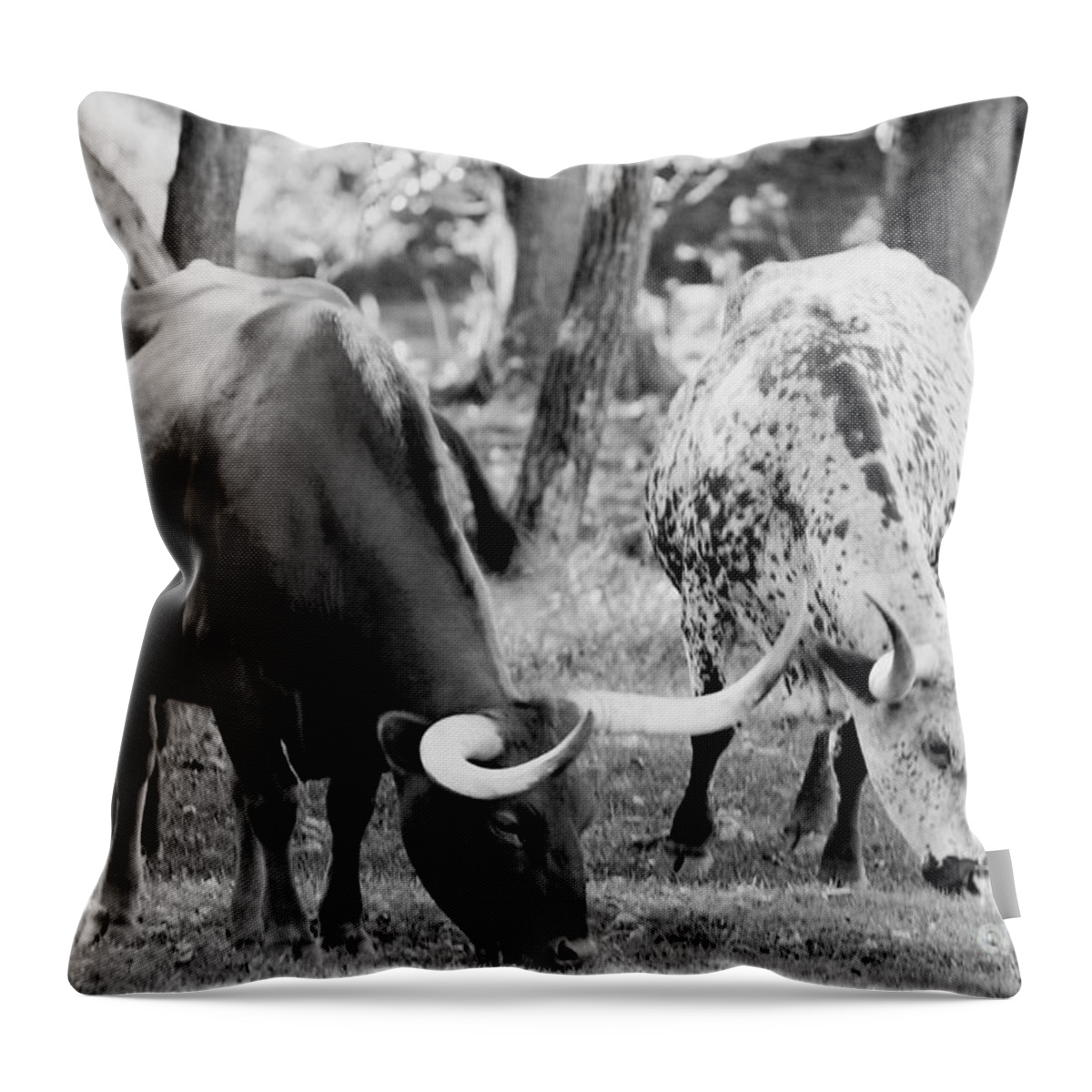 Agriculture Throw Pillow featuring the photograph Texas longhorn steer in black and white by Alan Look
