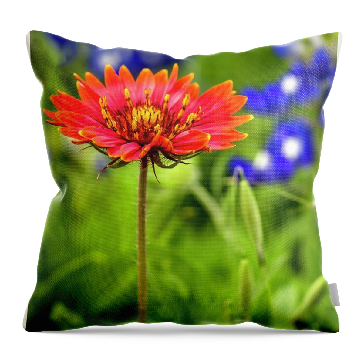 Texas Throw Pillow featuring the photograph Texas Party Girl by Harriet Feagin