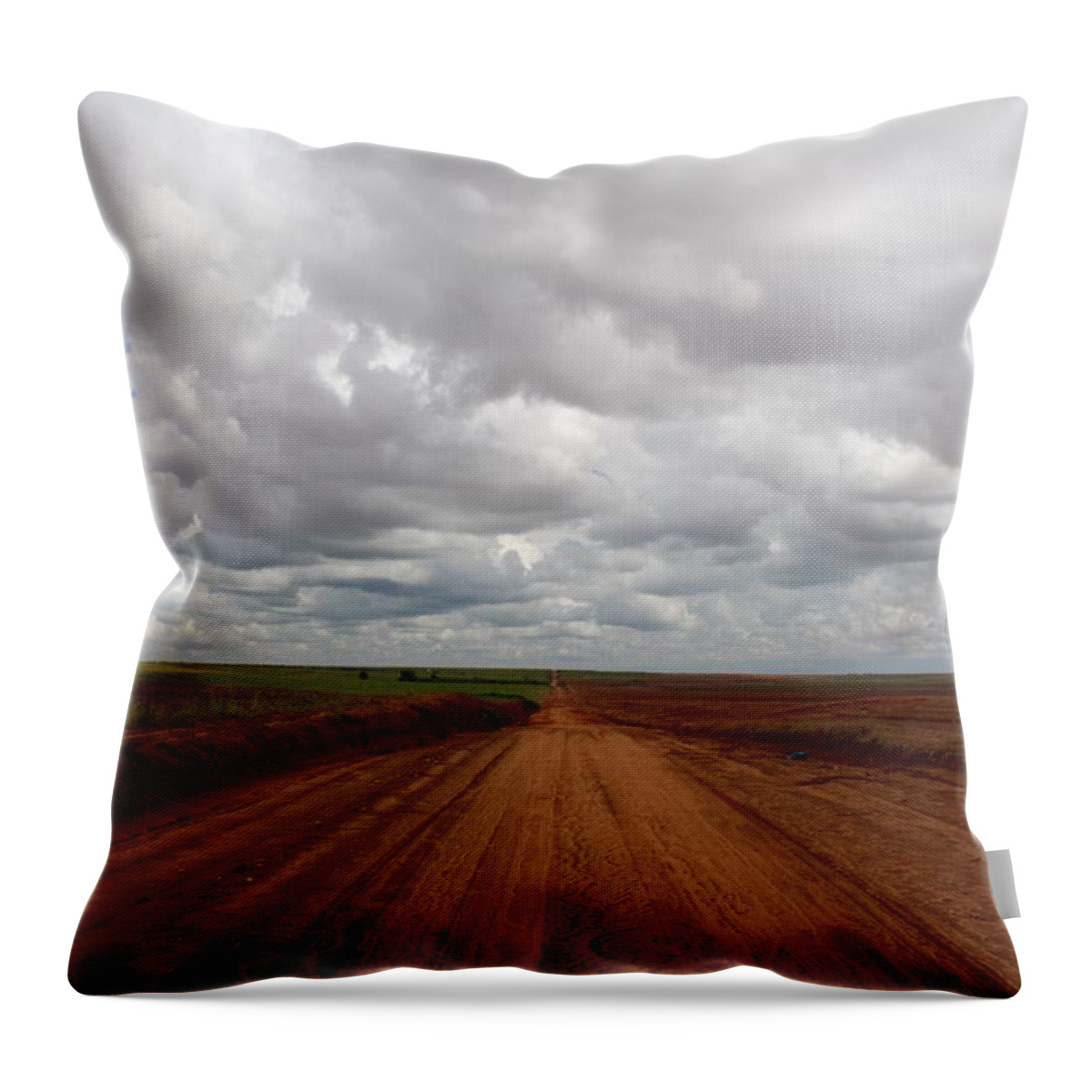 Red Road Throw Pillow featuring the photograph Texas Red Road by Suzanne Lorenz