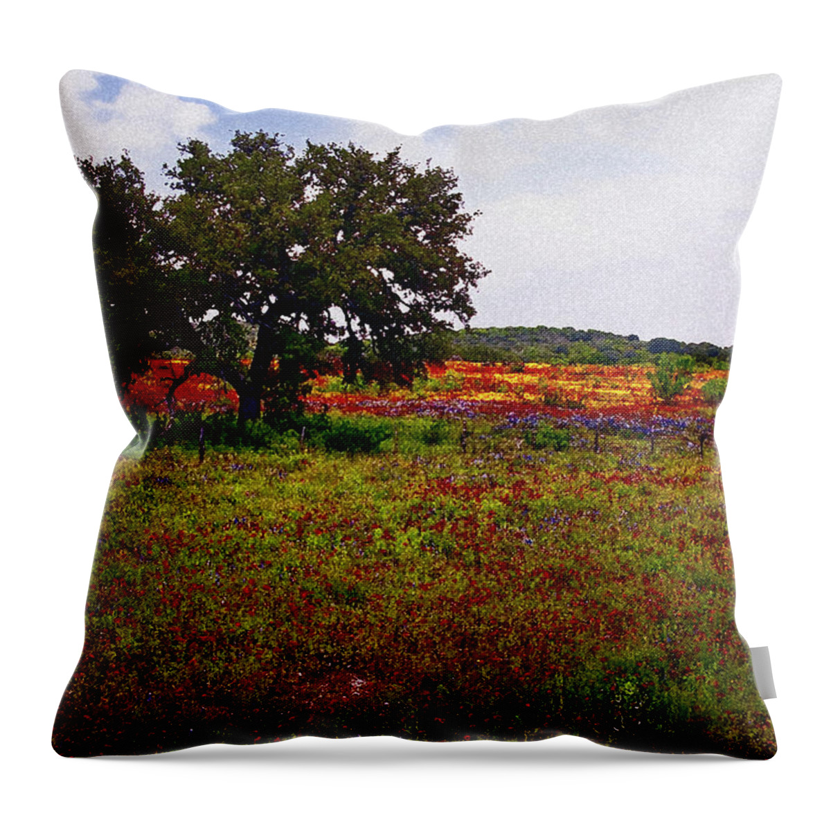 Texas Throw Pillow featuring the photograph Texas Wildflowers by Tamyra Ayles