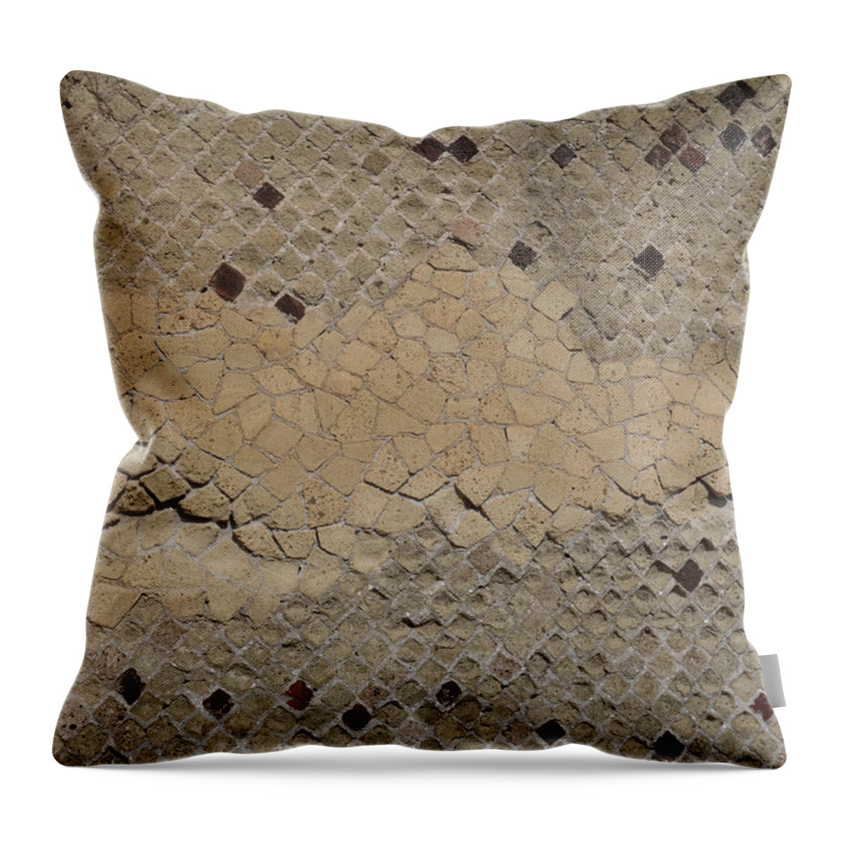 Stone Throw Pillow featuring the photograph Textural Antiquities Herculaneum Wall Two by Laura Davis
