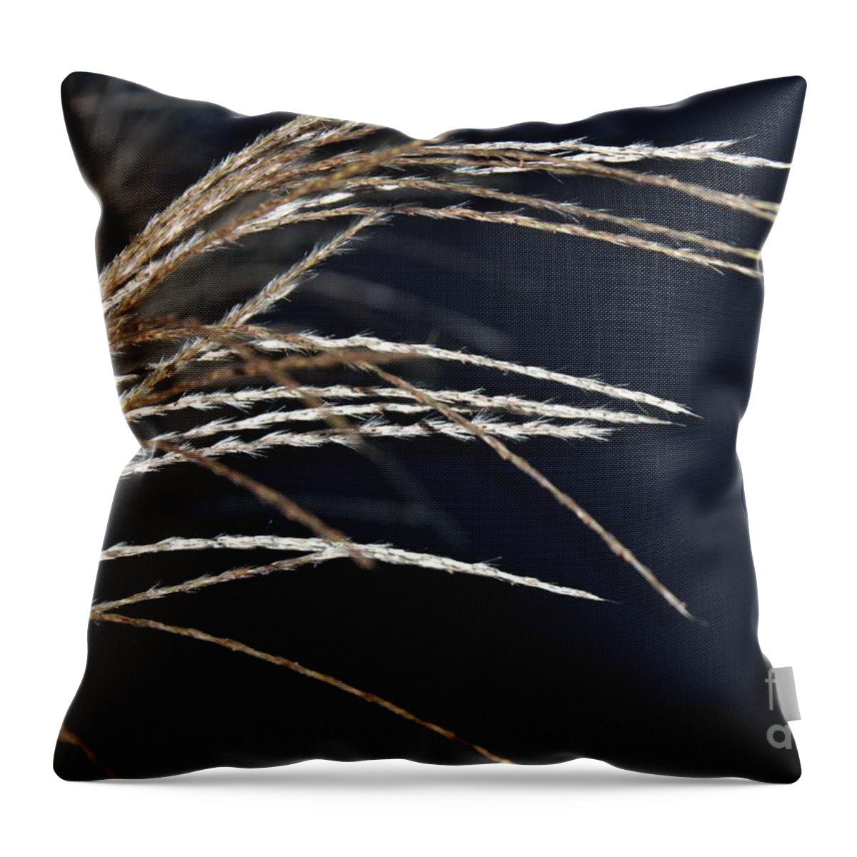 Grasses Throw Pillow featuring the photograph Texture by Margaret Hamilton