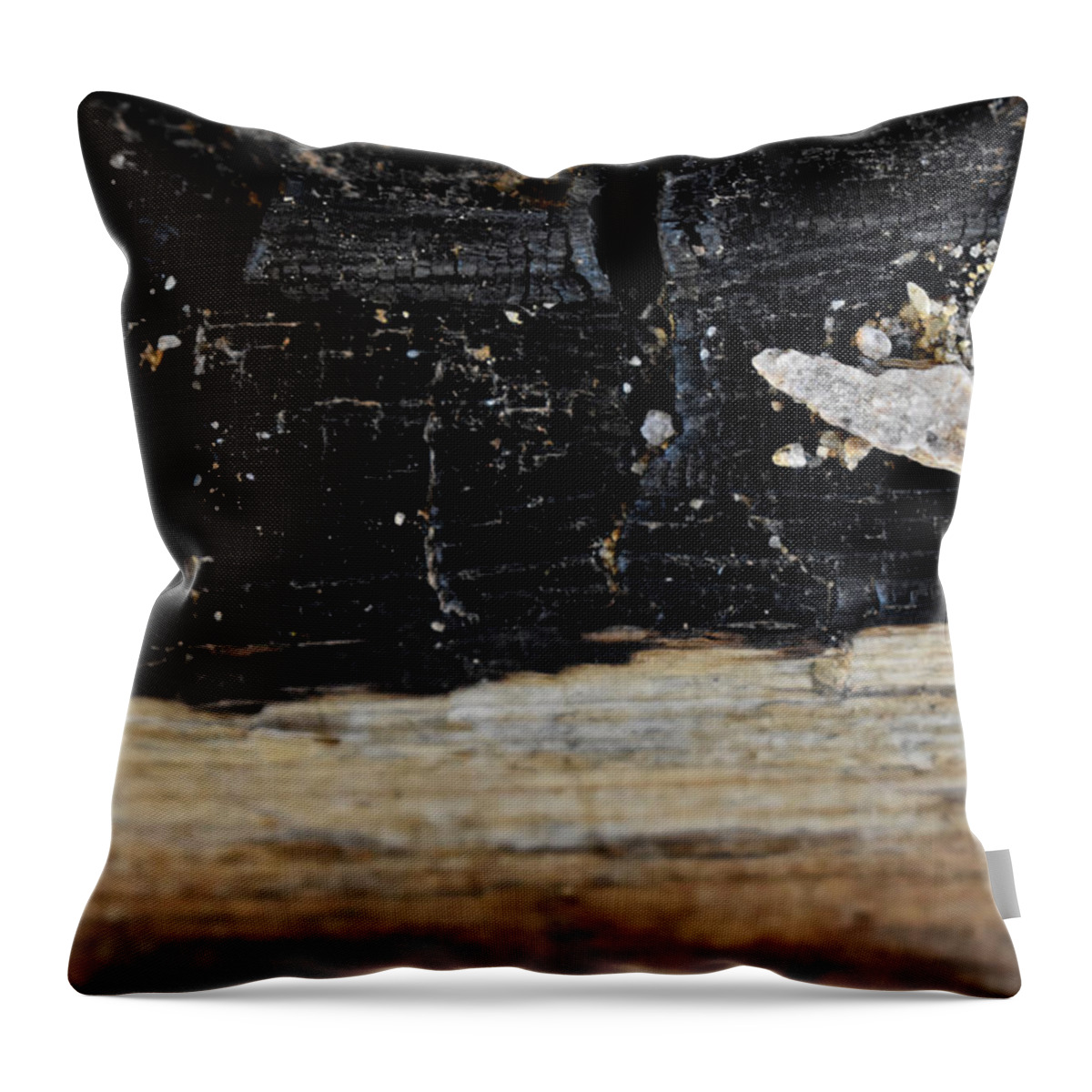 Black Throw Pillow featuring the photograph Texture by Melisa Elliott