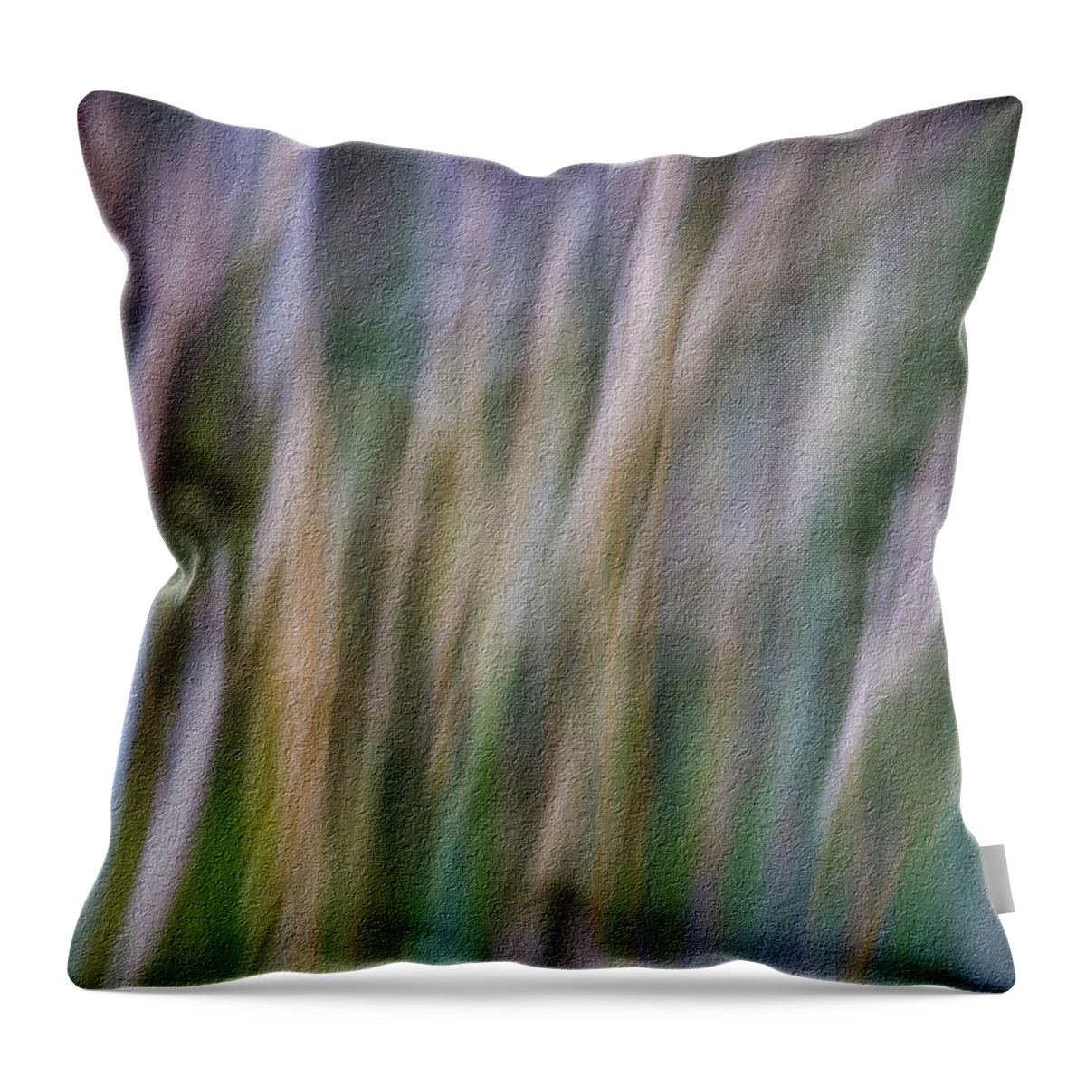 Abstract Throw Pillow featuring the photograph Textured Abstract by James Woody