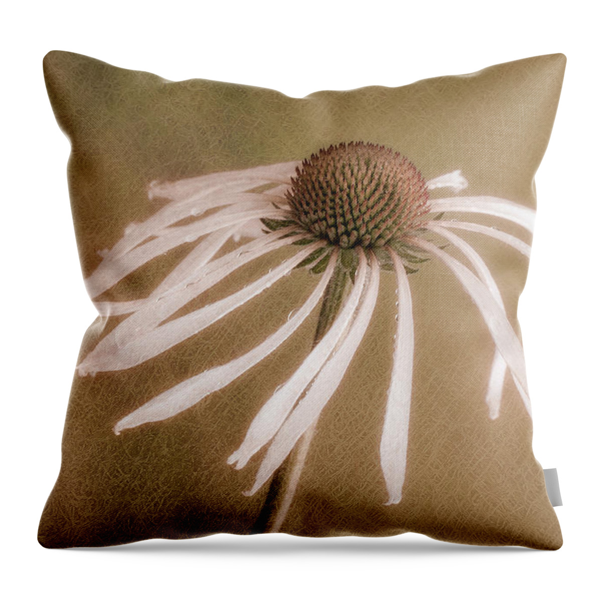 Coneflower Throw Pillow featuring the photograph Textured Coneflower by James Barber