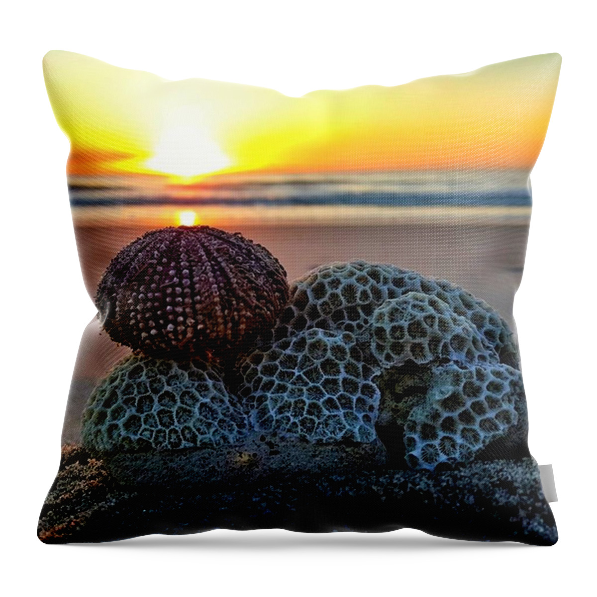 Reflection Throw Pillow featuring the photograph Seashell Surprise by Lauren Fitzpatrick