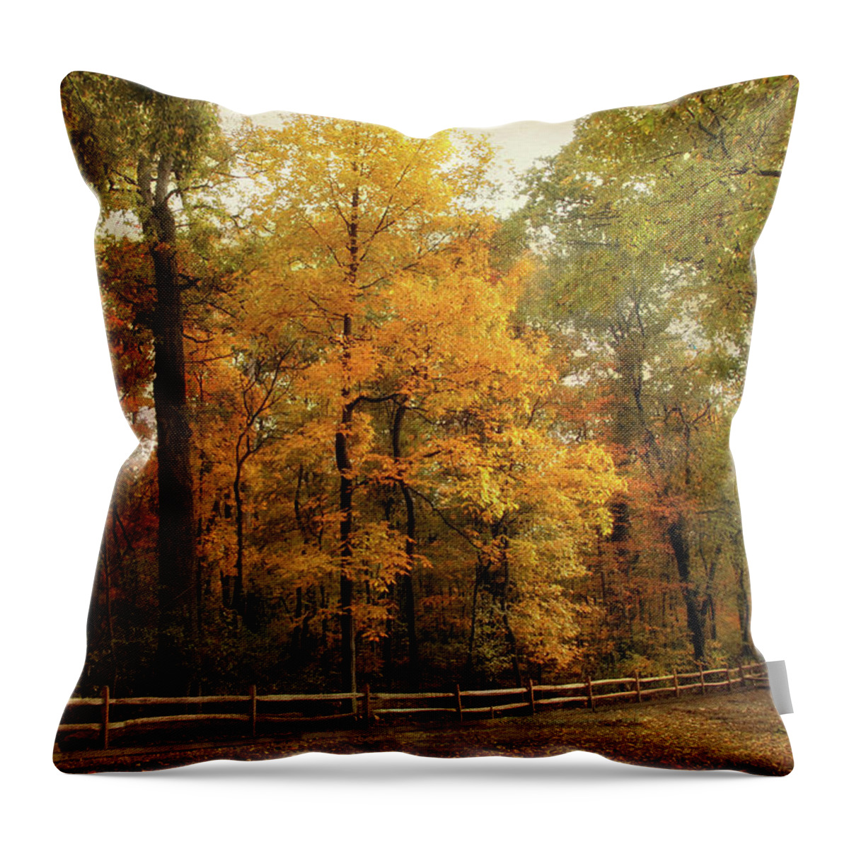 Autumn Throw Pillow featuring the photograph Thain Forest Autumn Trail by Jessica Jenney