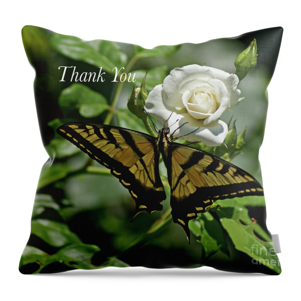 Card Throw Pillow featuring the photograph Thank You Butterfly by Debby Pueschel