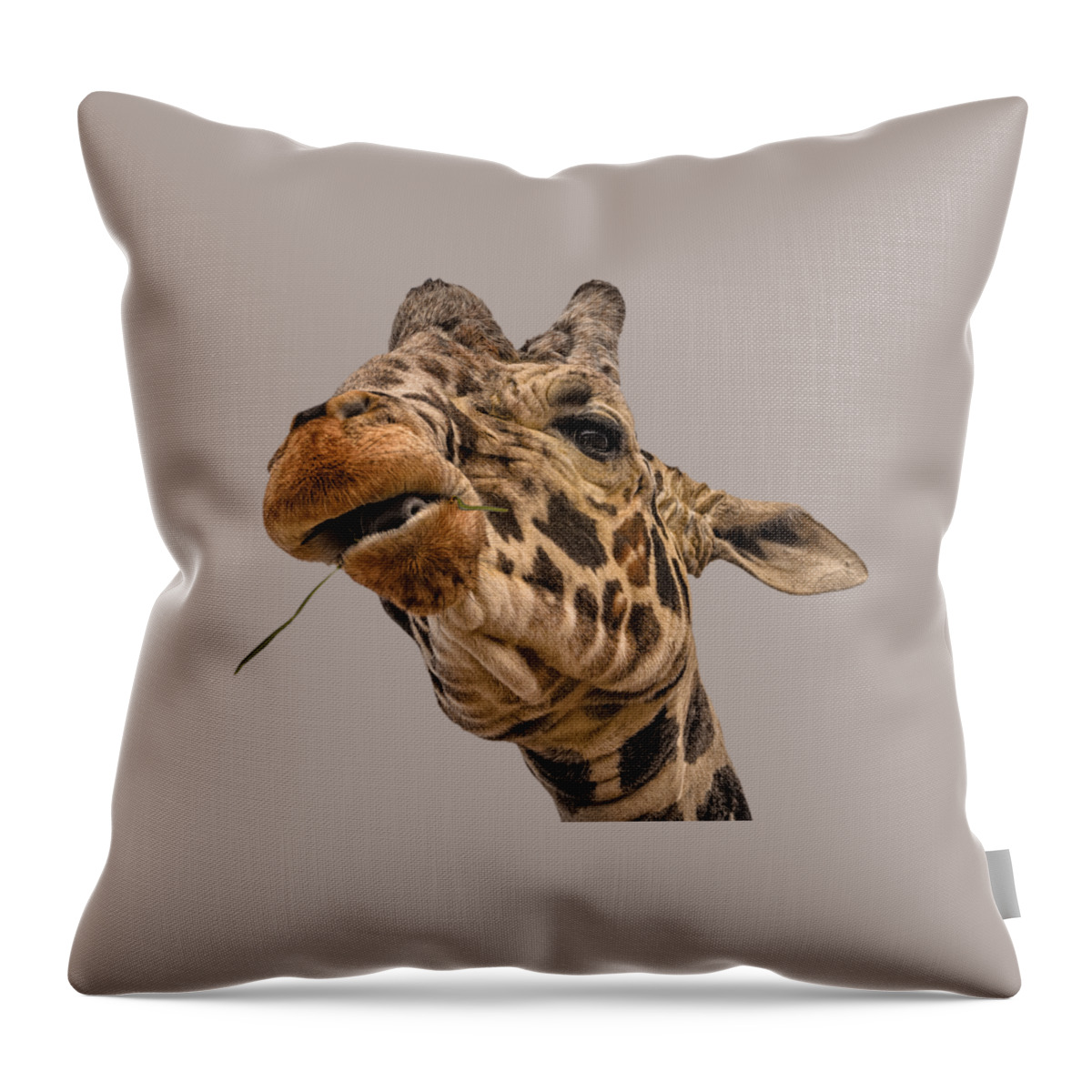 Africa Throw Pillow featuring the photograph Thank You by Mark Myhaver