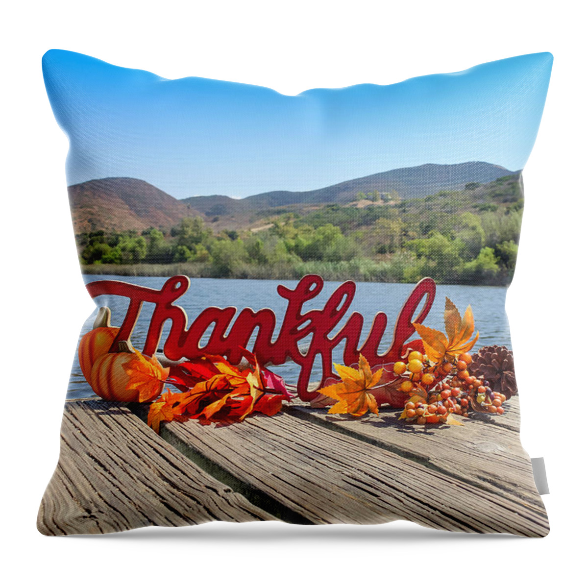 Thankful Throw Pillow featuring the photograph Thankful by Alison Frank