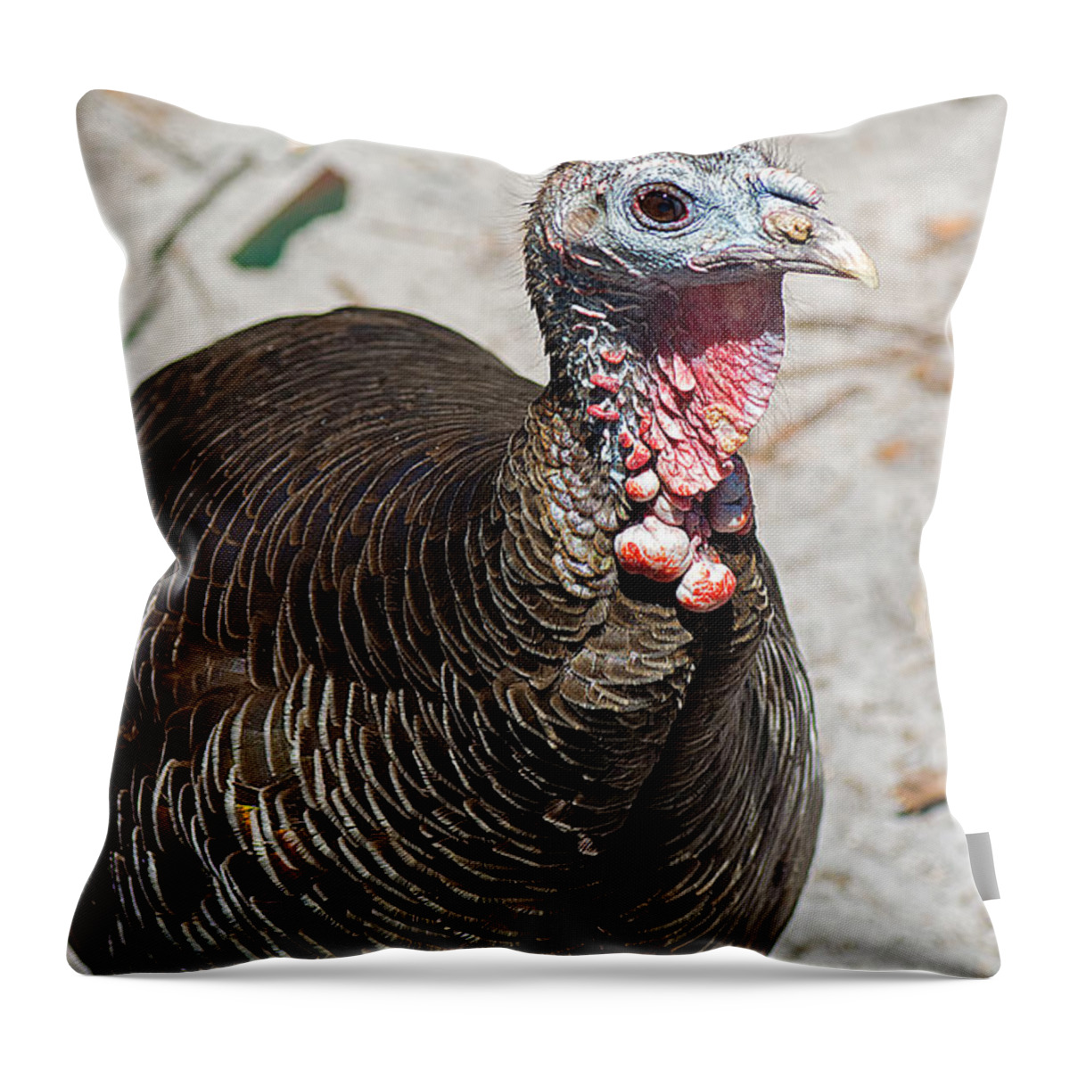 Turkey Throw Pillow featuring the photograph Thanksgiving Escapee by Kenneth Albin