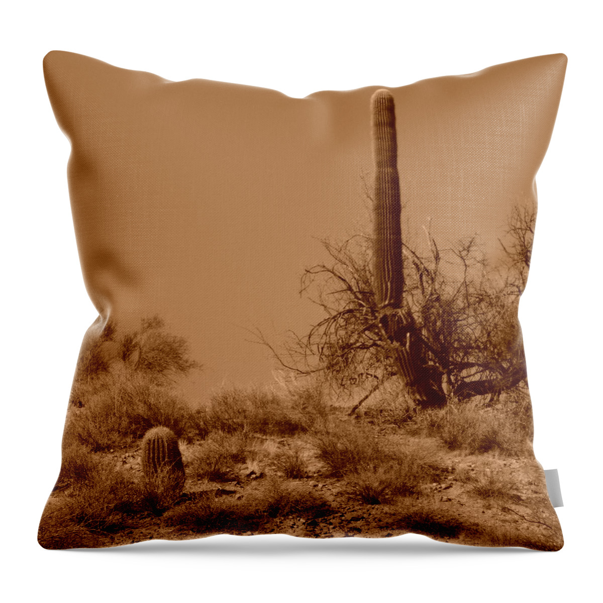 Ageless Sonoran Desert Throw Pillow featuring the photograph The Ageless Sonoran Desert by Bill Tomsa