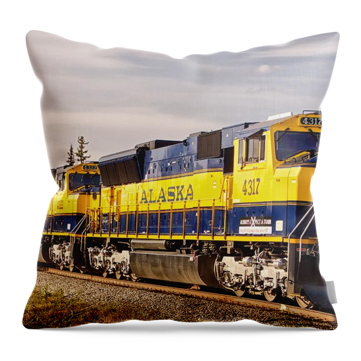 Railroad Throw Pillow featuring the photograph The Alaska Railroad by Michael W Rogers