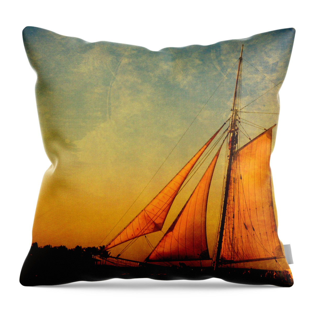 The America Throw Pillow featuring the photograph The America Nr 3 by Susanne Van Hulst