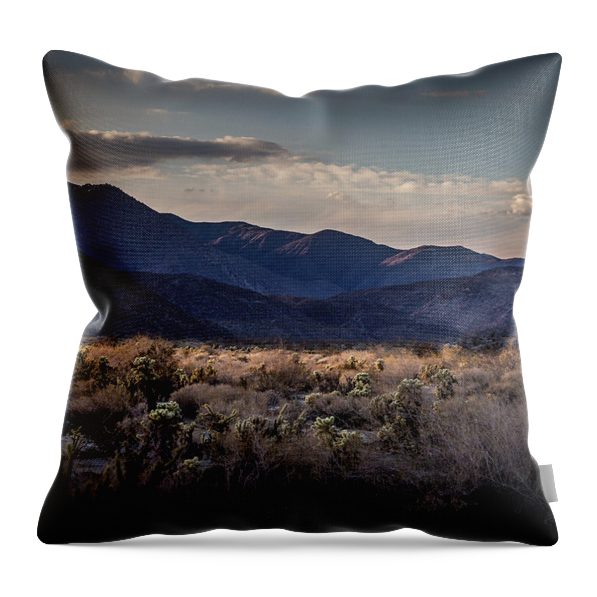Anza-borrego Desert Throw Pillow featuring the photograph The American West by Peter Tellone