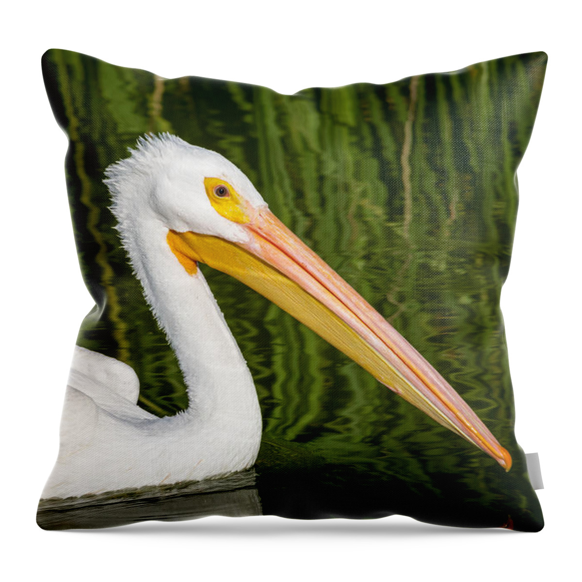 American Throw Pillow featuring the photograph The American White Pelican by Debra Martz