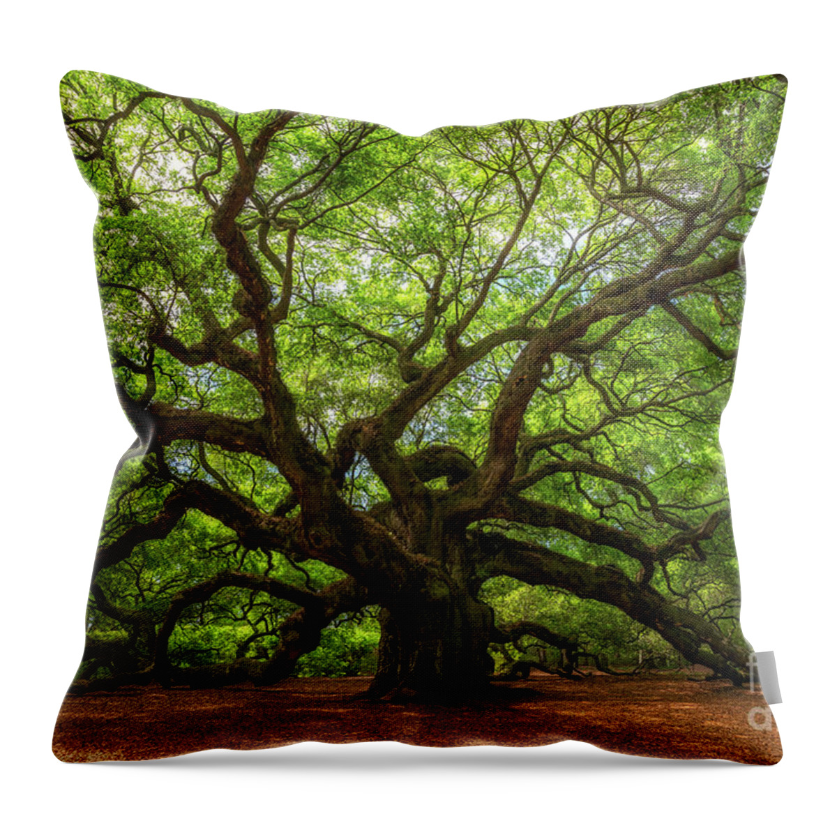 Angel Oak Tree Throw Pillow featuring the photograph The Angel Oak Tree by Michael Ver Sprill