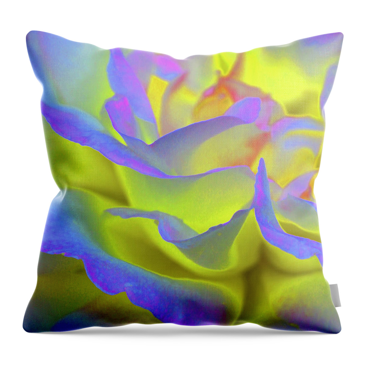 Roses Throw Pillow featuring the photograph The Answer by The Art Of Marilyn Ridoutt-Greene