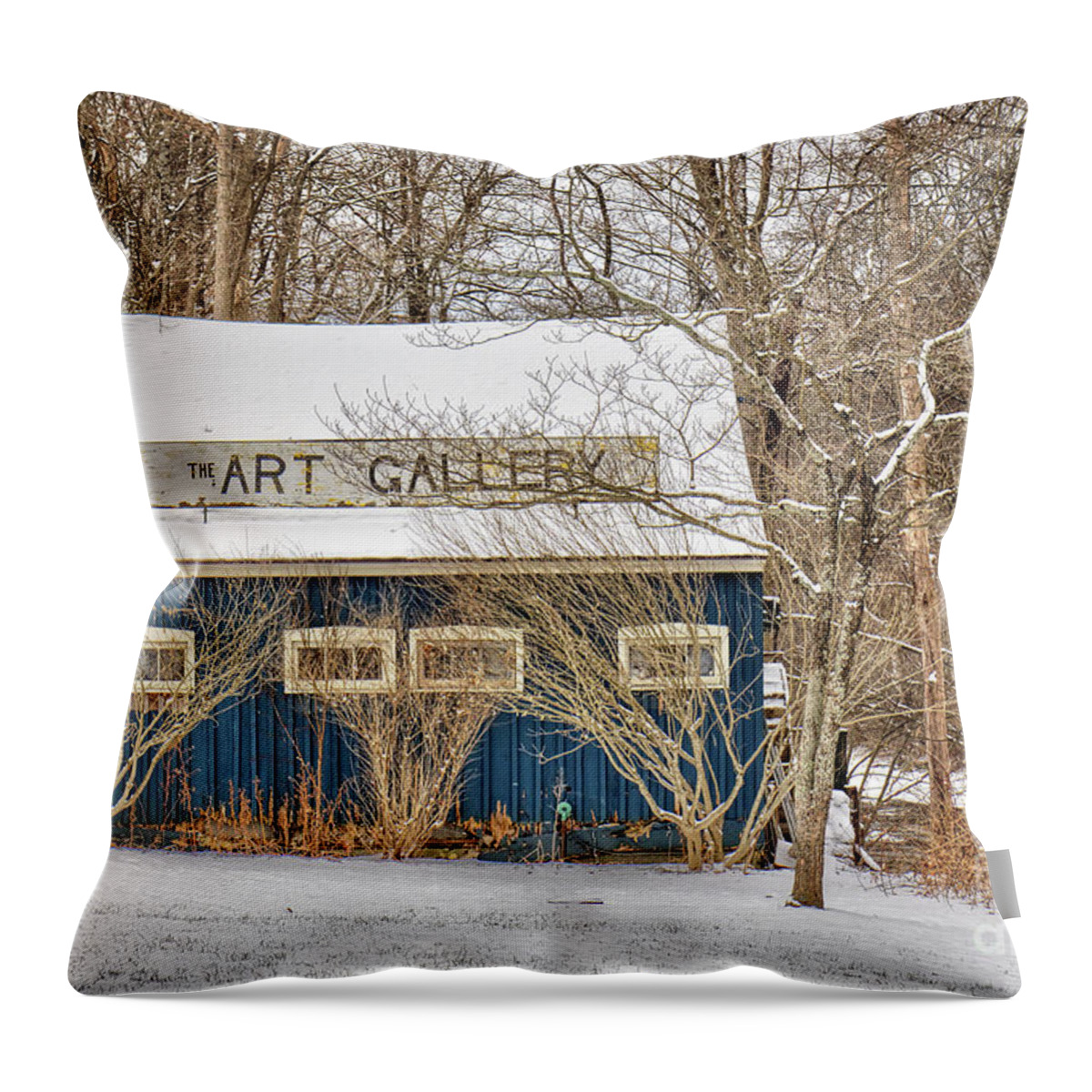 Art Gallery Throw Pillow featuring the photograph The Art Gallery by Rick Kuperberg Sr
