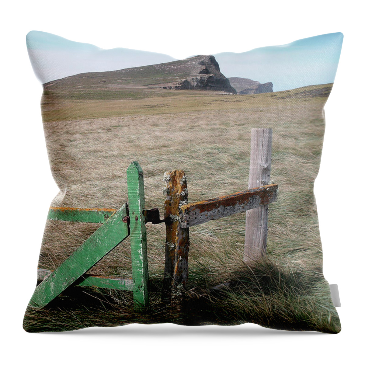 Field Throw Pillow featuring the photograph The Back 1000 by David Bader
