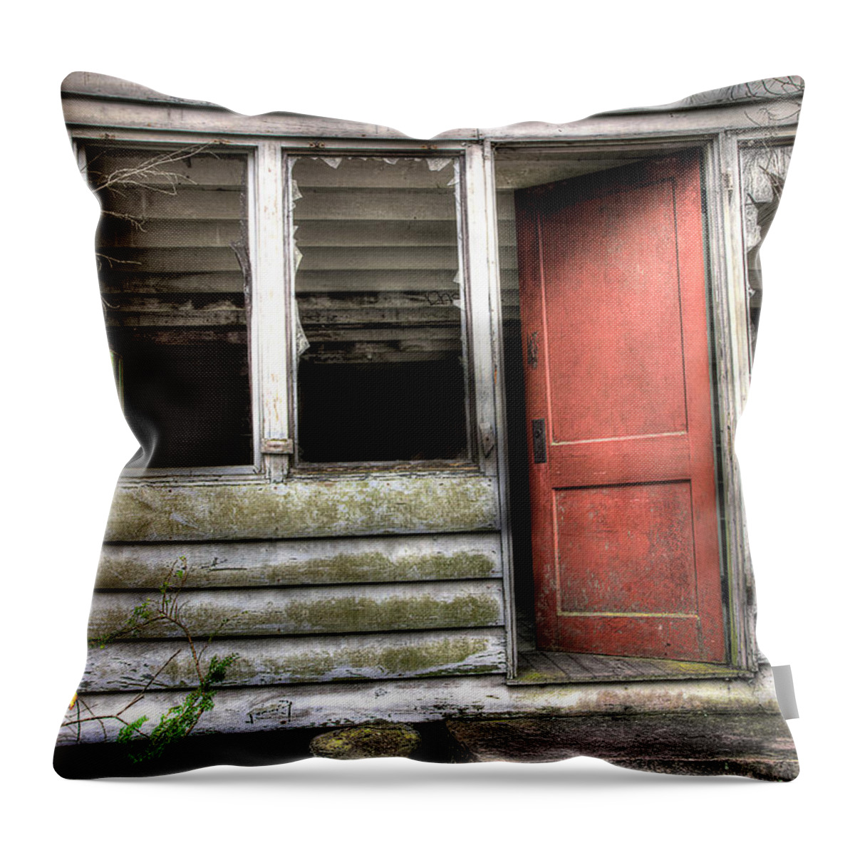 Abandoned Home Throw Pillow featuring the photograph The Back Door by Mike Eingle