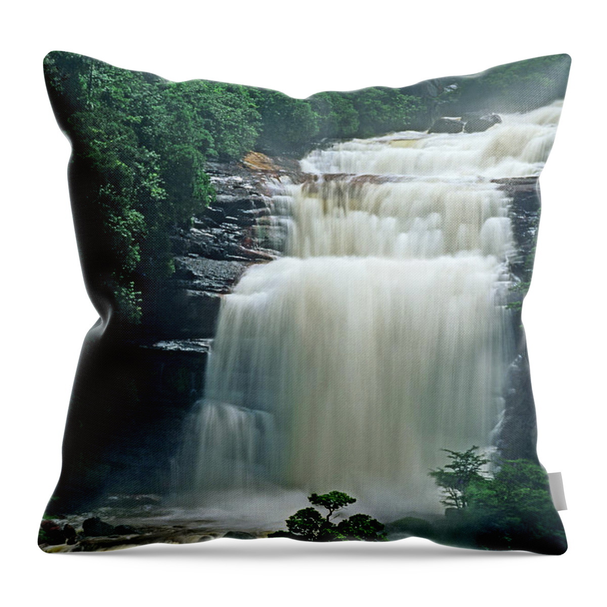 Venezuela Throw Pillow featuring the photograph The Base of Angel Falls in Canaima National Park Venezuela by Dave Welling