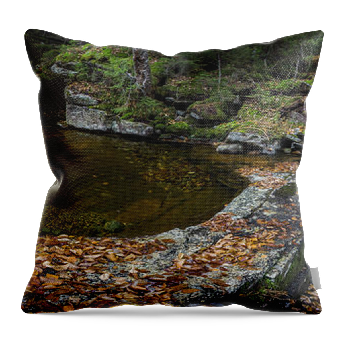 Bathtub Throw Pillow featuring the photograph The Bathtub on Garfield Stream by White Mountain Images