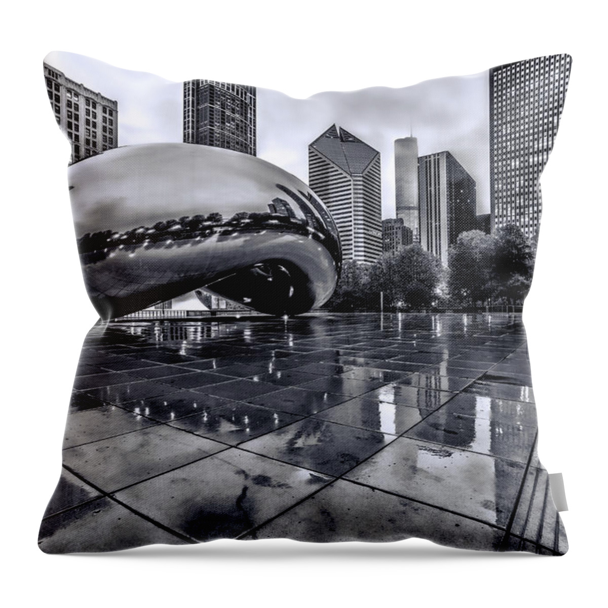 The Bean Throw Pillow featuring the photograph The Bean Black and White 02 by Josh Bryant