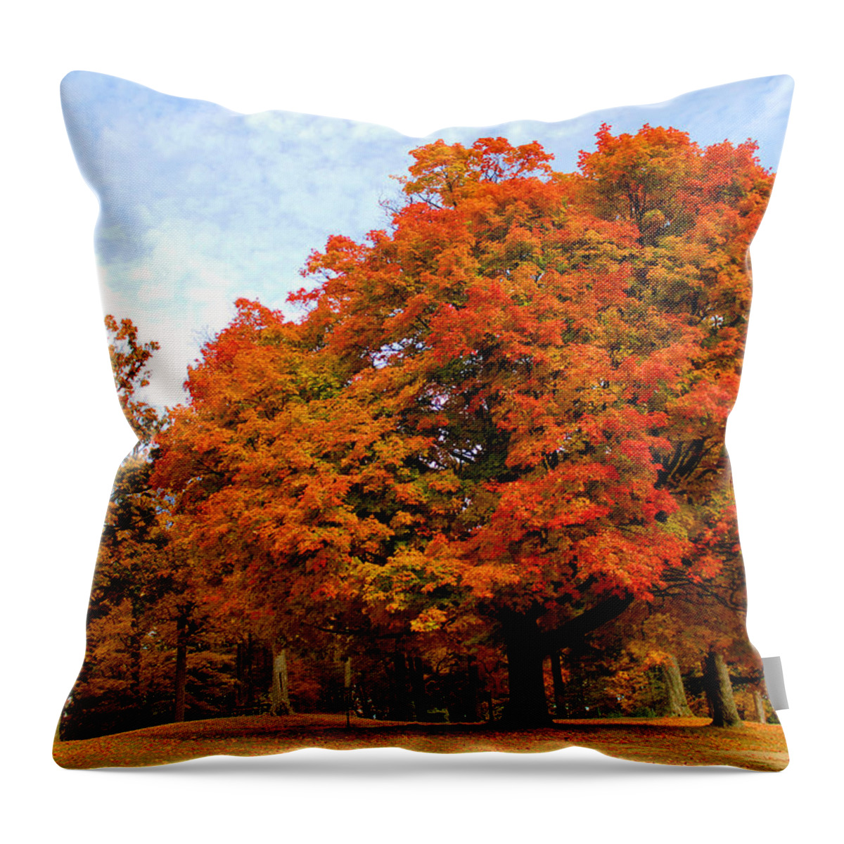 Autumn Throw Pillow featuring the photograph The Beauty of Autumn by Michael Rucker