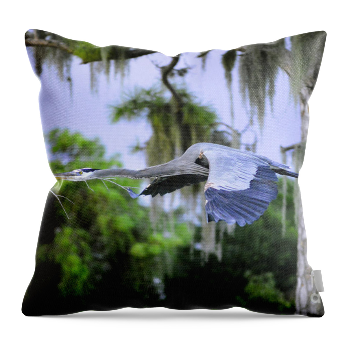 Great Blue Heron Throw Pillow featuring the photograph The Beauty of Flight by Quinn Sedam