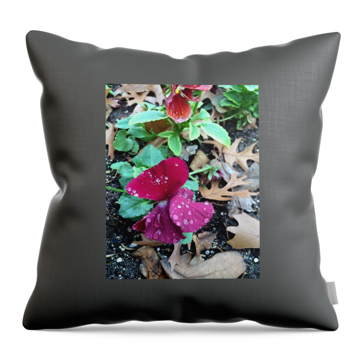  Throw Pillow featuring the photograph The beauty of nature by Kristen Holt